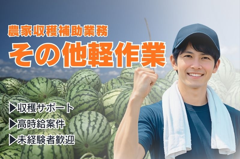 軽作業スタッフ募集