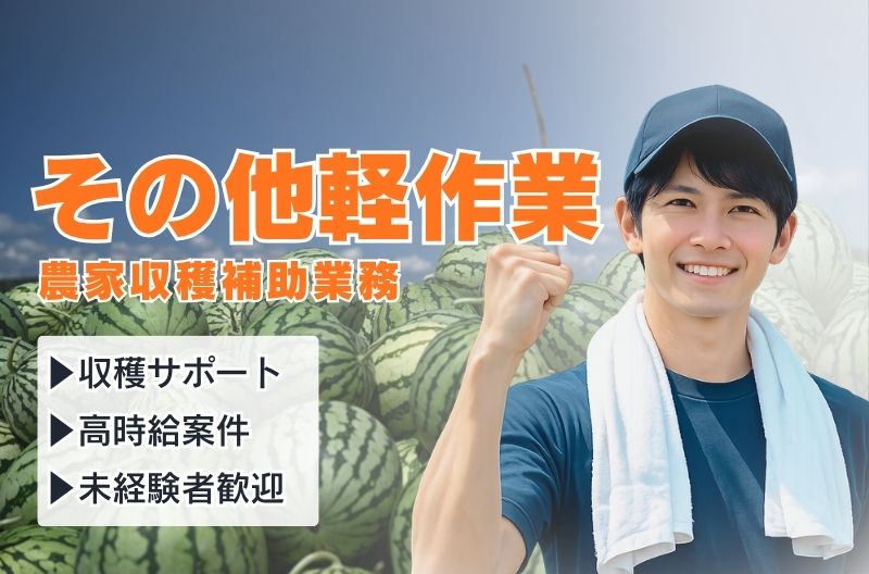軽作業スタッフ募集