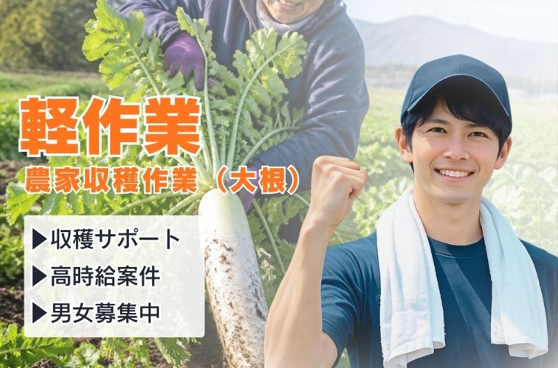 軽作業スタッフ募集